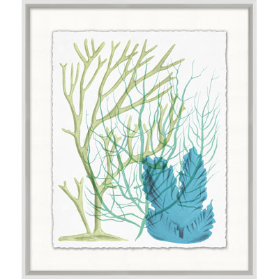 Deep Sea Kelp 3 Print