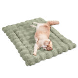 Lit pour chat pour chats d'intérieur