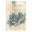 « i », reproduction d’impression sur toile tendue Vintage Teal Seaweed-20816902-72656853-72656848