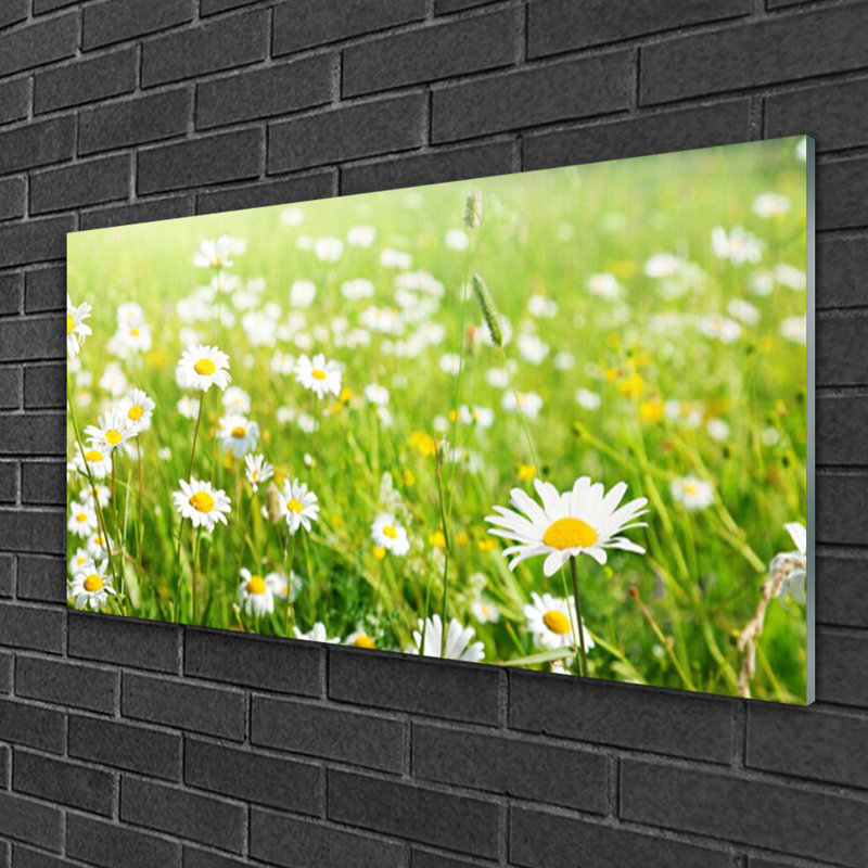 Meadow Daisies 1 Piece Wall Art on Glass