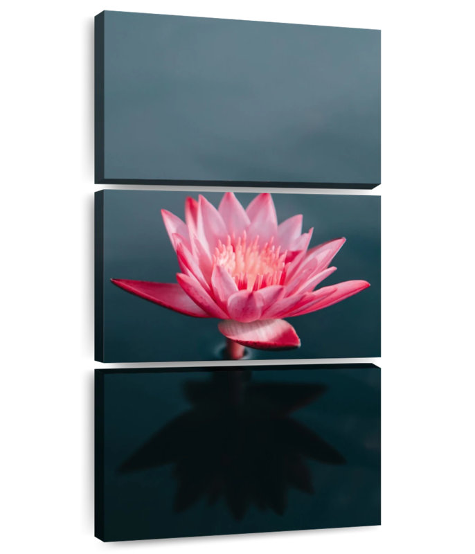 Solo Lotus