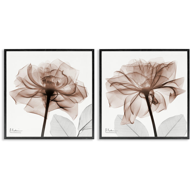 «Translucent Rose Blossoms», ensemble de 2 giclées encadrées par Albert Koetsier, H 17 po x l 34 po
