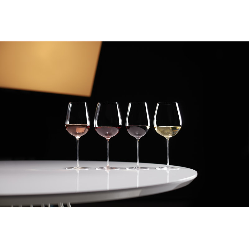 Signature Series Warm-Region 4-Piece Wine Glasses, 20
