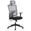 Chaise de bureau ergonomique en maille à dossier haut, chaise de bureau robuste pouvant supporter jusqu'à 159 kg (350 lb) avec appui-tête réglable, soutien lombaire, fonction inclinable et accoudoirs pliables.-575716266