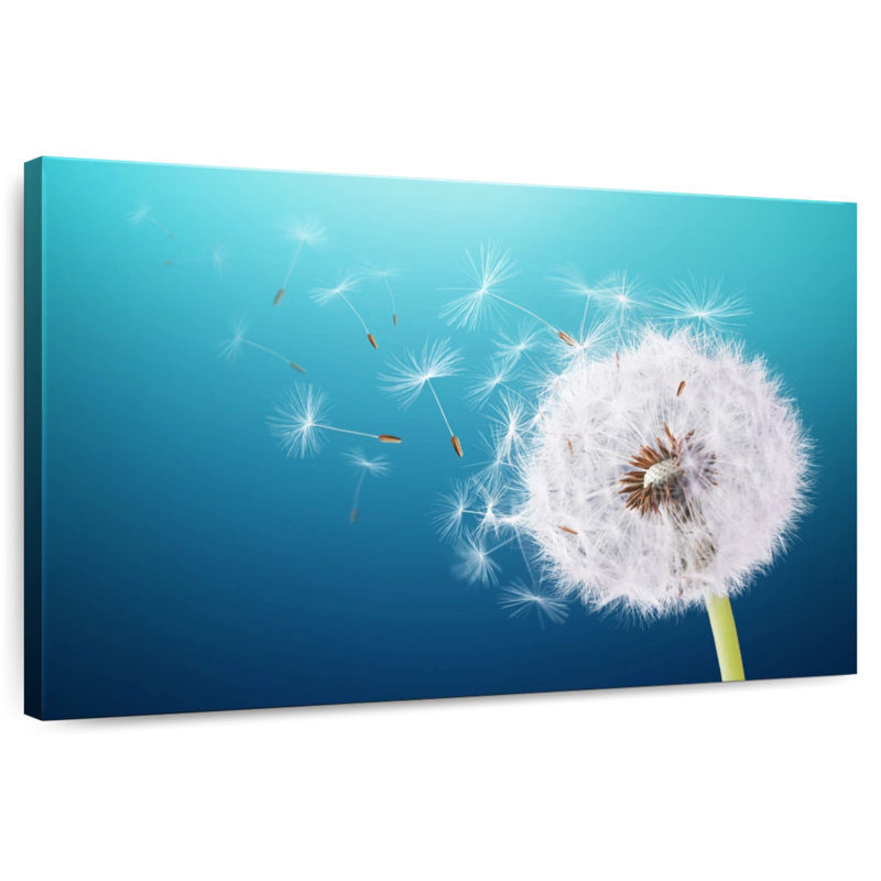 Harnek Puffy White Dandelion, 16" H x 24" W