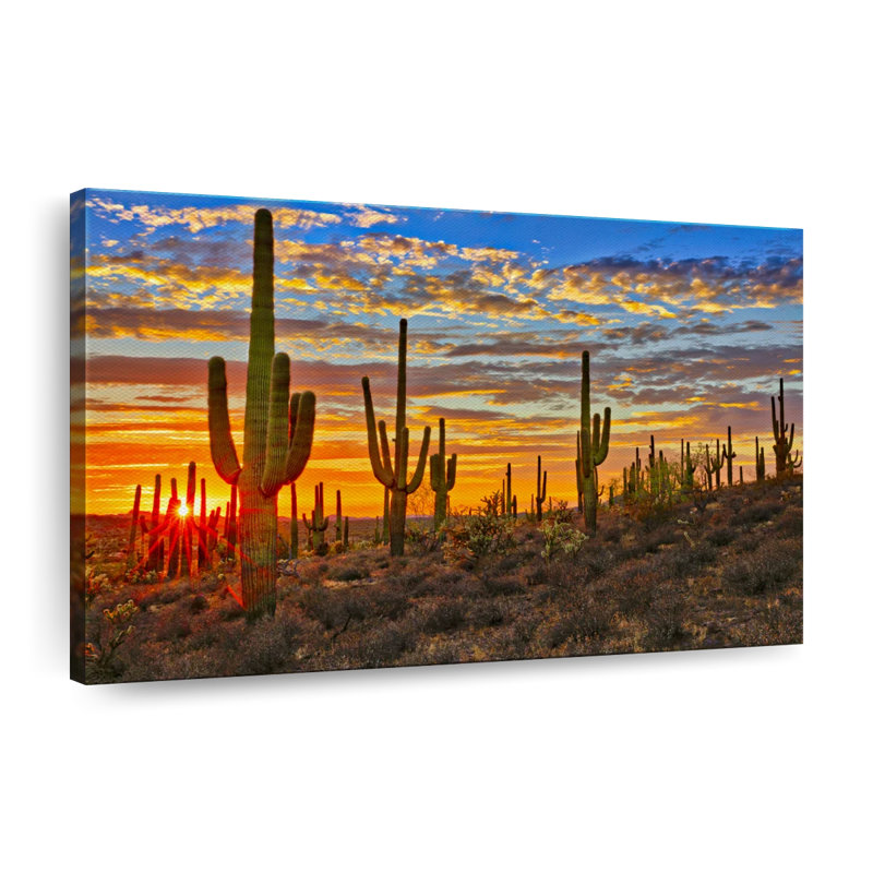 Cactus coucher de soleil sur toile, H 20 po x l 30 po x P 1,25 po