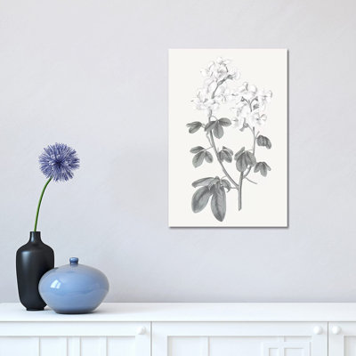 Neutral Botanical III - Wrapped Canvas Painting