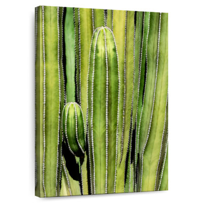Harnek Cactus Overlay