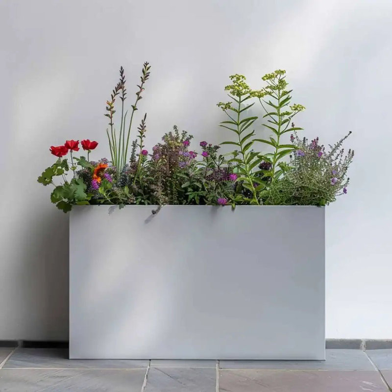 Reny Galvanised Zinc Trough Planter, 25cm H x 60cm W x 25cm D, White