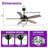 52" Modern 3CCT Dimmable LED Ceiling Fan with Remote Control, Double-Sided Blades, 6-Speed Reversible DC Motor, Timer-230954279