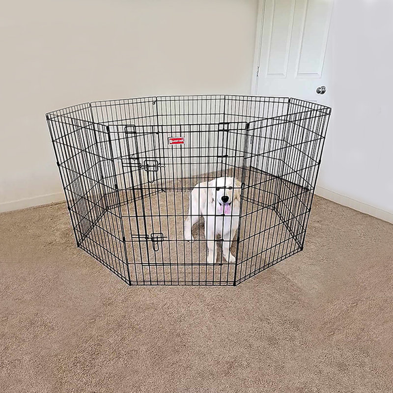 Lucky Dog 48" Black Metal Exercise Pen with Stakes