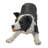 Border Collie Garden Statue