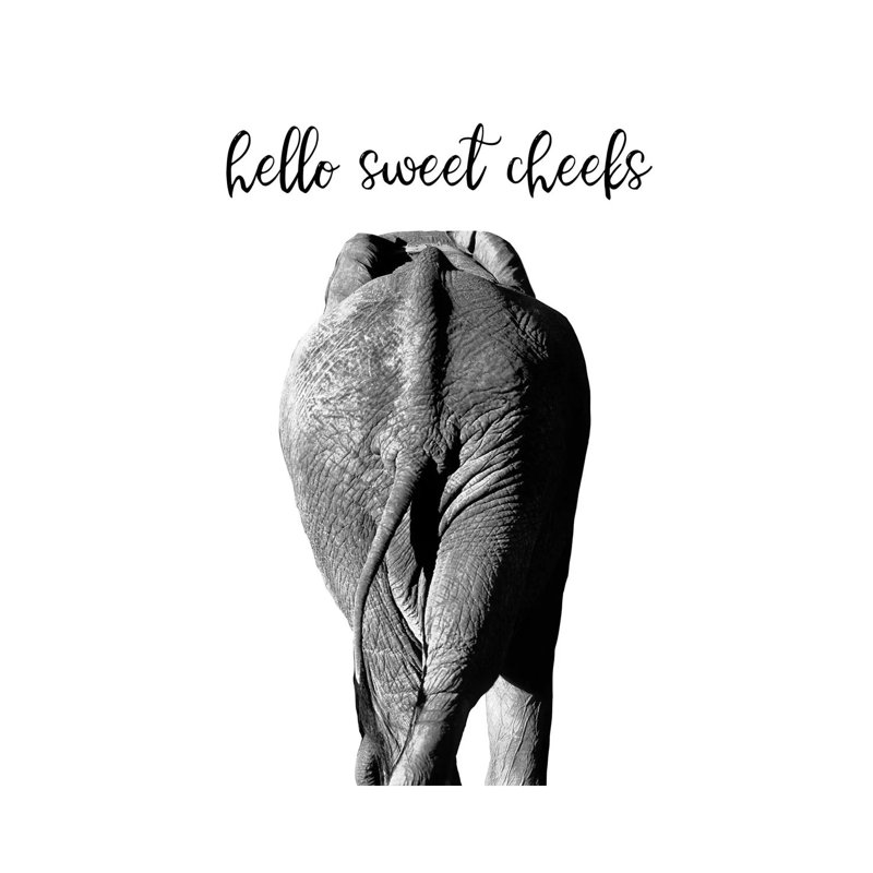 Elephant Bum by Danita Delimont - Wrapped Canvas Print, 30.48cm H x 20.32cm W x 1.91cm D