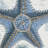 Coastal Outdoor Starfish Pillow Cover-109070063