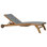 Parmele Outdoor Teak Chaise Lounge