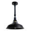 Schwarz 1 - Light Dome Pendant