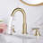 2-handle Bathroom Faucet-64796880