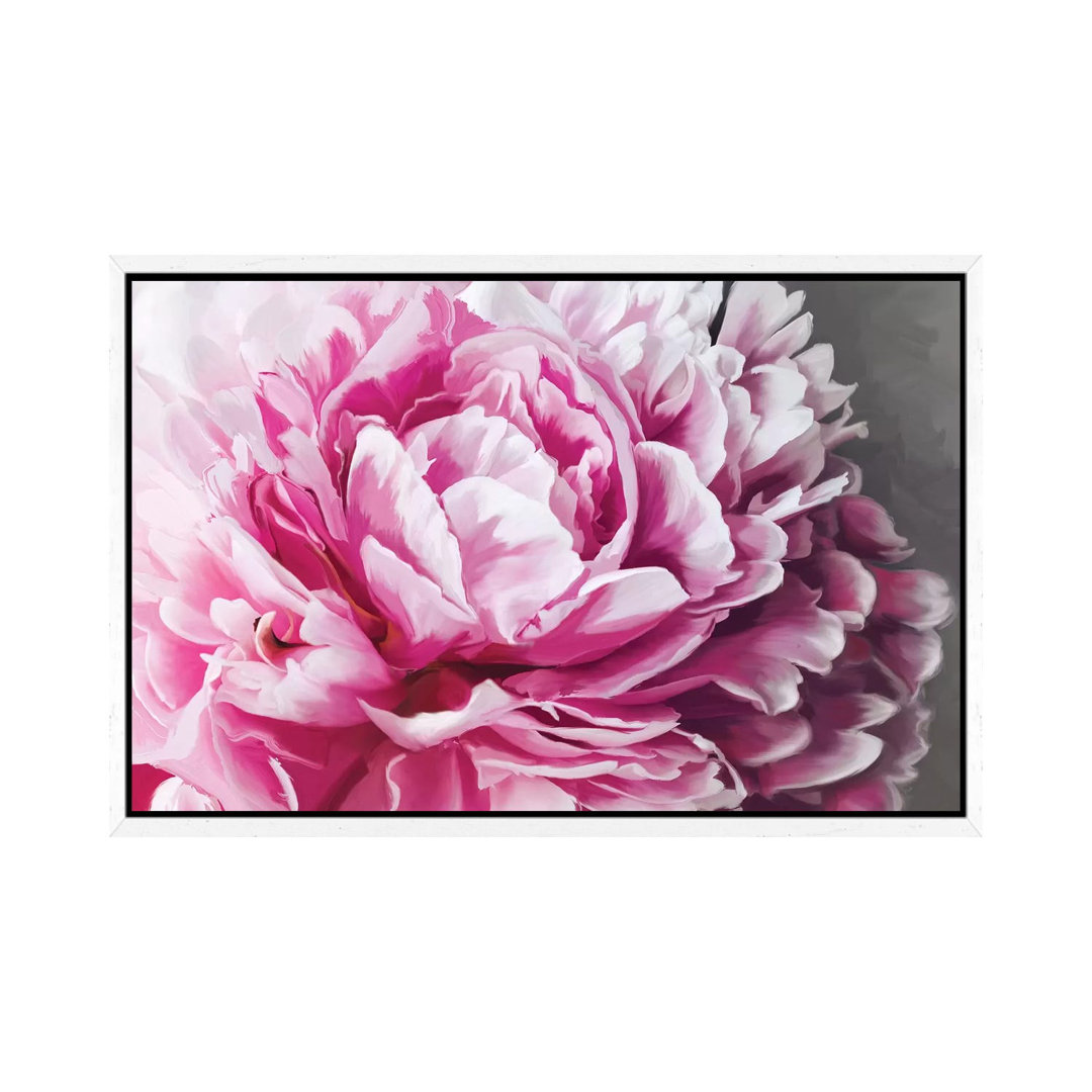 Leinwandbild Peony Blush