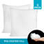 Bourrure de coussin de forme carré-1159416621-1159416627