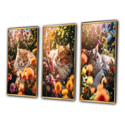 Fluffy Cat Sleeping Sunny Flower Garden I - Animals Cat Art Set Of 3 Pieces