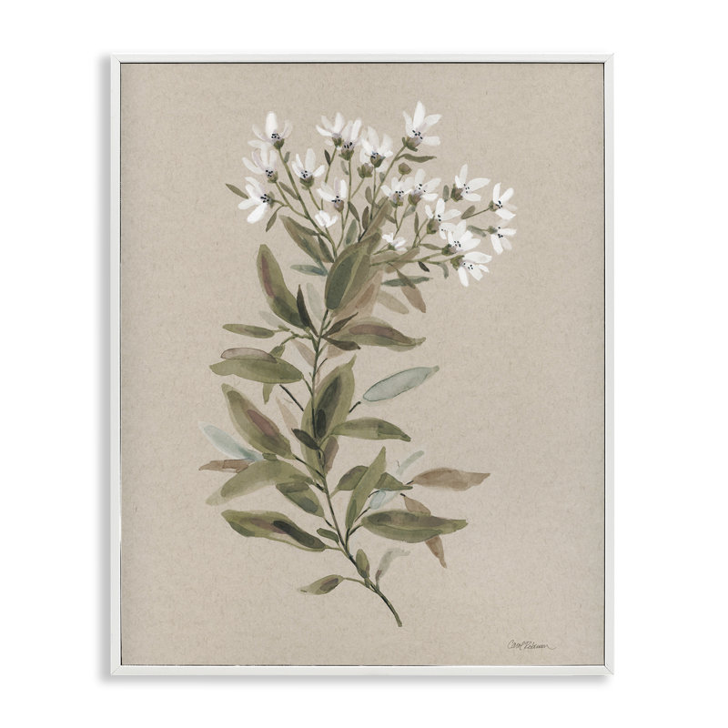 Aquarelle, fleur sauvage, brin, giclée sur toile par Carol Robinson, Giclée encadrée blanc bord de mer, H 30 po x l 24 po