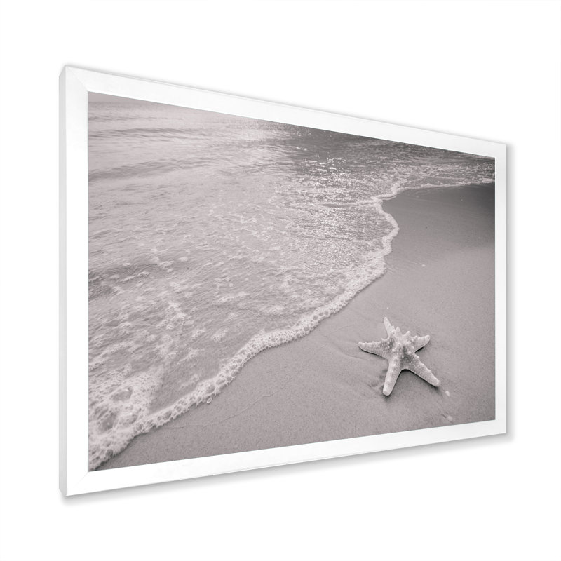 Étoile de mer noire et blanche sur la plage - reproduction sur toile, H 24 po x l 36 po x P 1 po, Cadre de coin blanc fermé