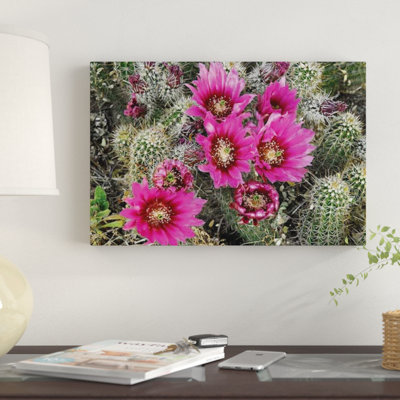Hérisson cactus en fleurs, Arizona par Tim Fitzharris - impression sur toile tendue