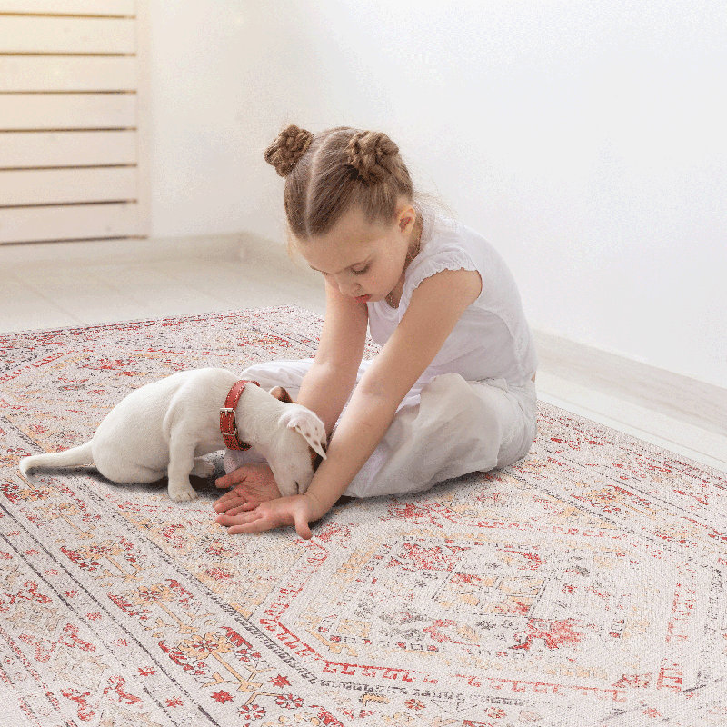 MAVAL Beige Washable Rug 8X10 Area Rug (Beige, 8' X 10'), Rectangle 8' x 10'