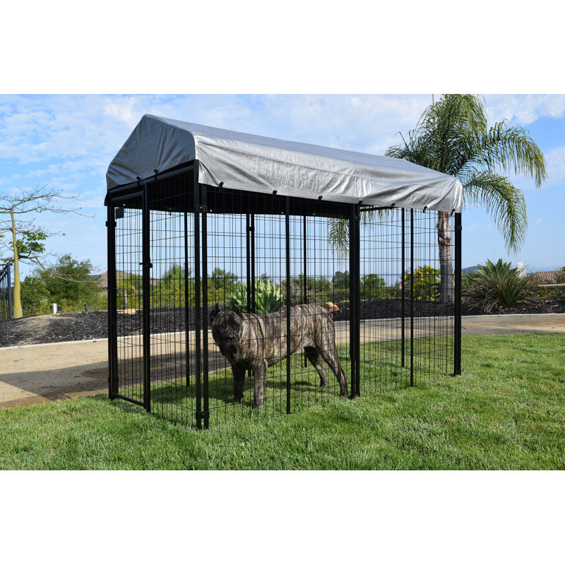 Tucson Black Powder Coat 6 ft. Welded Wire Dog Kennel