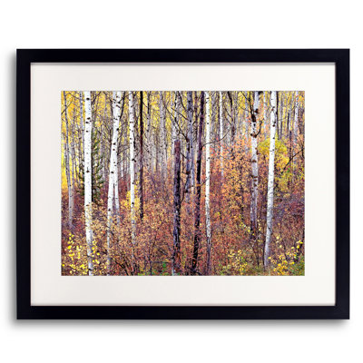Swan Valley Autumn Portrait #2 Print by Bruce Heinemann