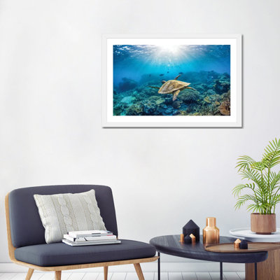 " Reef Glider " by Jordan Robins