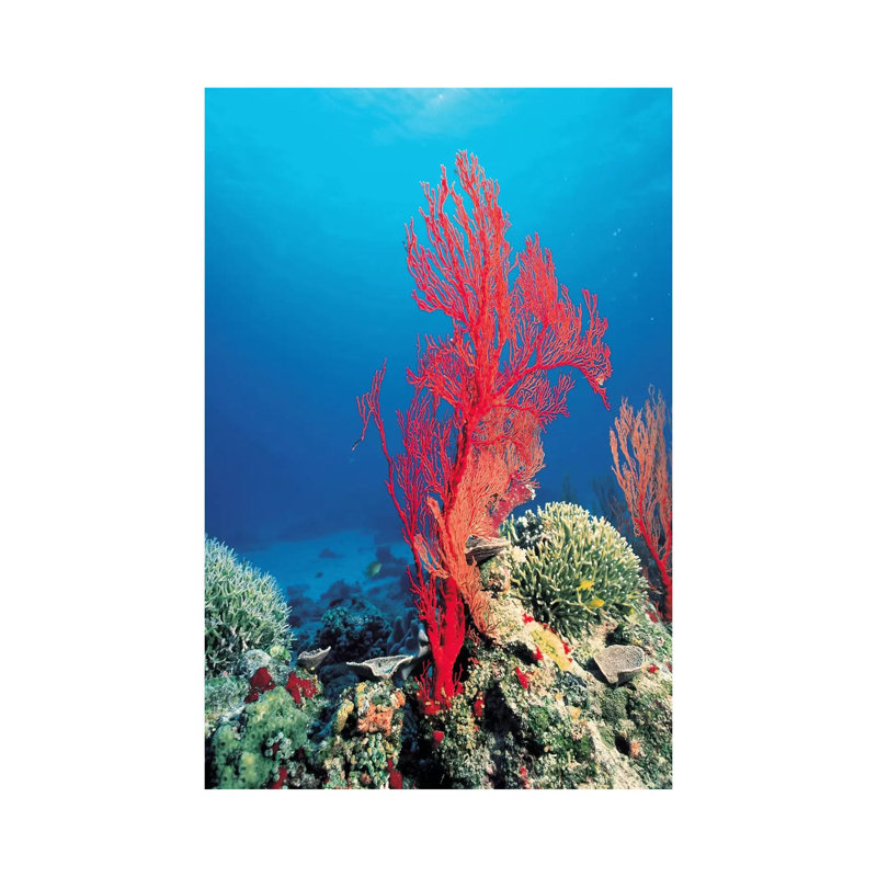 Red Coral by Unknown Artist - Wrapped Canvas Print, 66.04 cm H x 45.72 cm W x 1.91 cm D