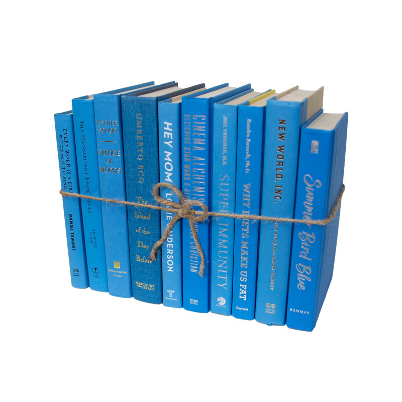 Decorative Books - Sky Book Bundle - 1 Foot of Blue Books