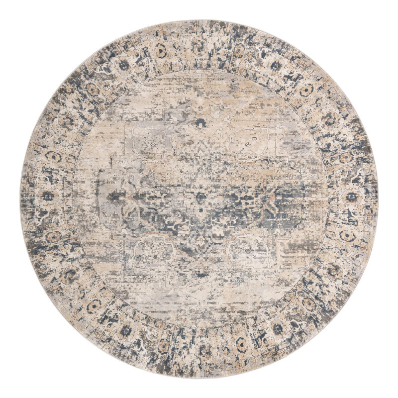 Cambrie Oriental Gray Area Rug, Round 10'