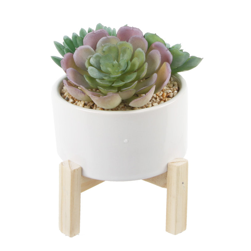 5.5'' Faux Succulent in Ceramic Pot, White