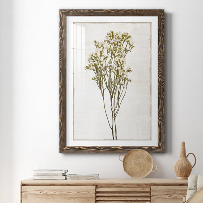 Farmhouse Pressed Flower II - peinture encadrée