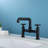 Widespread 2-handle Bathroom Faucet