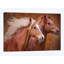 «Purebred I», impression sur toile-32896523-72221828-72221829