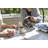 KBG Glass 10 Cup Carafe