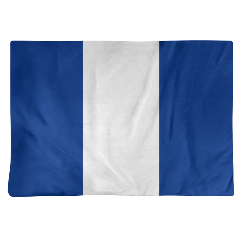 Récapitulatif en coton 18" retour football Seattle, Bleu / Blanc