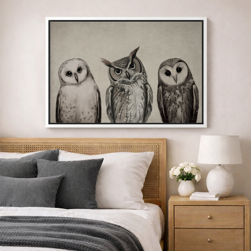 "Bird Birds", variété de chouettes, encadrée sur toile, H 16 po x l 24 po x P 1,5 po, Blanc