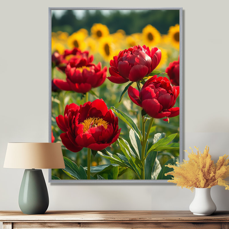Grondin pivoines par le champ de tournesols III - pivoines, art mural, H 44 po x l 34 po, Reproduction avec cadre flottant