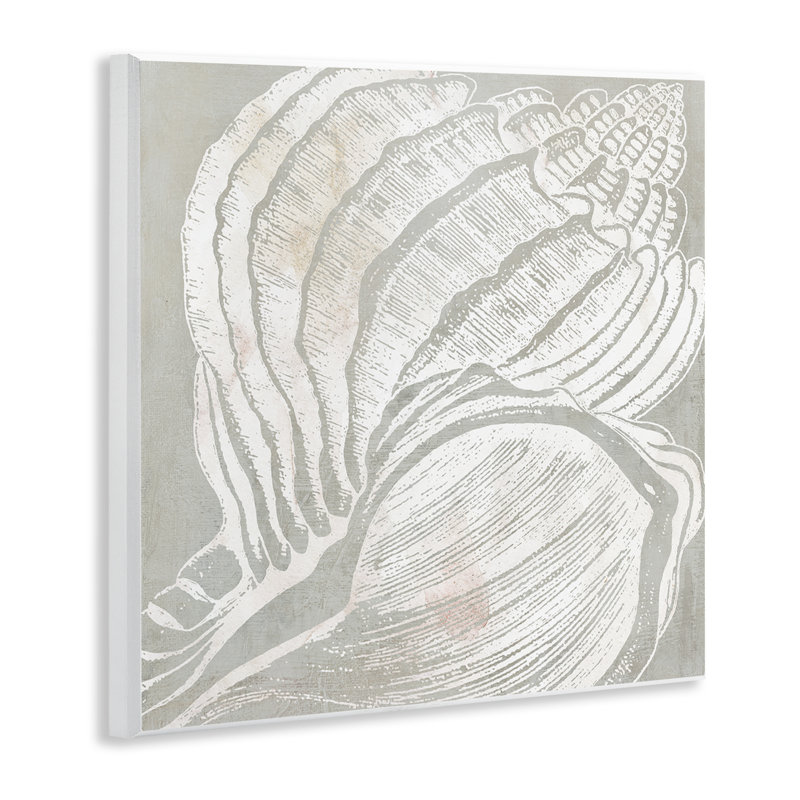 «Beige Conch» par Carol Robinson