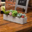 15.5cm Faux Succulent Plant in Cement Pot