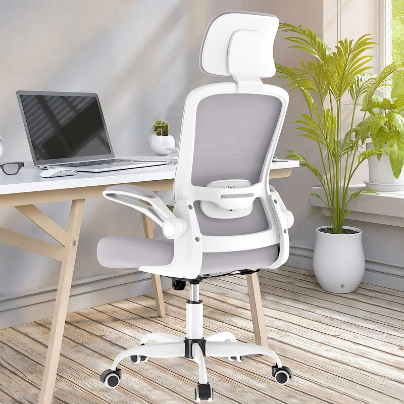 Lashey Task Chair, Moon Gray