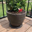 Ensemble de tapis pour plantes