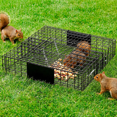 Cage à piège Humane Live Animal