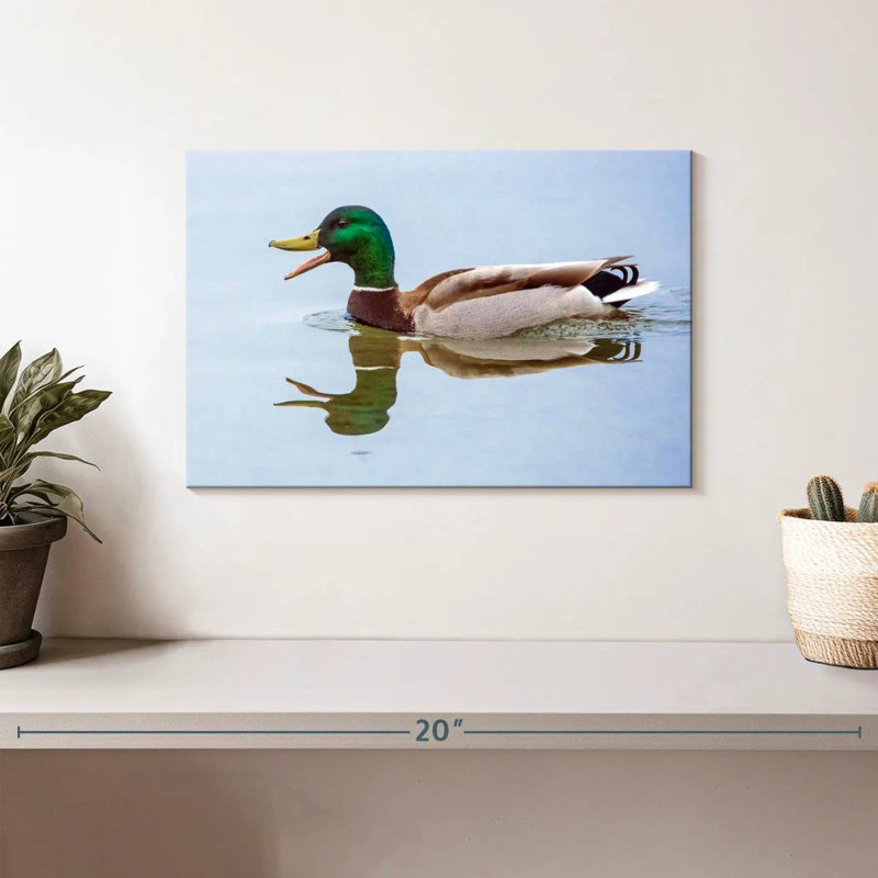 Brampt Floating Mallard Duck, 8" H x 12" W