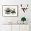 Hippopotamus and Rhinoceros by Oliver Goldsmith - Picture Frame Painting Print-55579969-55579970