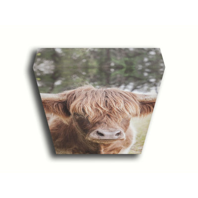 Highland Portrait par Kelly Wade. Estampe numérique